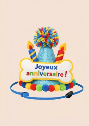 Chapeau anniversaire coloré pour chien avec inscription Joyeux anniversaire – vue de face – fabrication française