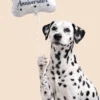 chien dalmatien avec ballon anniversaire chien en forme d’os