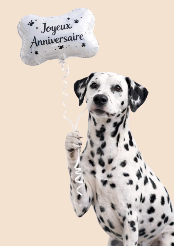 chien dalmatien avec ballon anniversaire chien en forme d’os